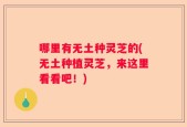 哪里有无土种灵芝的(无土种植灵芝，来这里看看吧！)