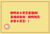 鹅鸭杀小灵芝直播间(直播间现场：鹅鸭残忍杀害小灵芝！)