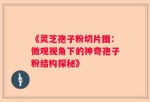 《灵芝孢子粉切片图：微观视角下的神奇孢子粉结构探秘》