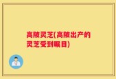 高陂灵芝(高陂出产的灵芝受到瞩目)