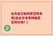 北方自己能种灵芝吗冬天(在北方冬季种植灵芝可行吗？)