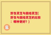 野生灵芝与栽培灵芝(野生与栽培灵芝的比较：哪种更好？)