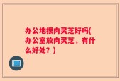 办公地摆肉灵芝好吗(办公室放肉灵芝，有什么好处？)