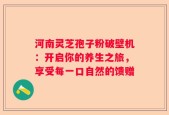 河南灵芝孢子粉破壁机：开启你的养生之旅，享受每一口自然的馈赠