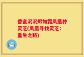 香蜜沉沉烬如霜凤凰种灵芝(凤凰寻找灵芝：重生之路)