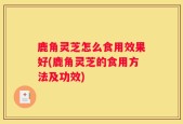 鹿角灵芝怎么食用效果好(鹿角灵芝的食用方法及功效)