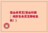 容山赤灵芝(容山珍藏：纯野生赤灵芝降吸氧机！)