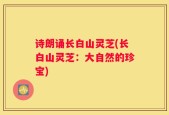 诗朗诵长白山灵芝(长白山灵芝：大自然的珍宝)