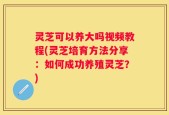 灵芝可以养大吗视频教程(灵芝培育方法分享：如何成功养殖灵芝？)