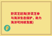 野灵芝赶海(野灵芝参与海洋生态保护，助力海洋可持续发展)