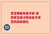 灵芝哪面有孢子粉 探究灵芝孢子粉存在于灵芝的具体部位