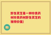 野生灵芝是一种珍贵药材珍贵药材野生灵芝的独特价值)