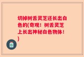 切掉树舌灵芝还长出白色的(奇观！树舌灵芝上长出神秘白色物体！)