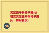 灵芝孢子粉种子图片(观赏灵芝孢子粉种子图片，辨别真伪)