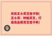农民王小灵芝孢子粉(王小灵：种植灵芝，打造高品质灵芝孢子粉)
