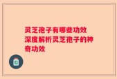 灵芝孢子有哪些功效 深度解析灵芝孢子的神奇功效