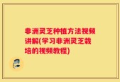 非洲灵芝种植方法视频讲解(学习非洲灵芝栽培的视频教程)