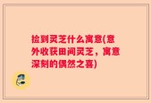 捡到灵芝什么寓意(意外收获田间灵芝，寓意深刻的偶然之喜)