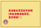鱼池里长灵芝好不好呢(养鱼池里添加灵芝，是否明智？)