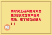 翡翠灵芝葫芦图片大全集(翡翠灵芝葫芦图片展示，更了解它的魅力！)