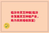 临汾市灵芝种植(临汾市发展灵芝种植产业，助力农民增收致富)