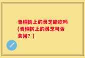 青桐树上的灵芝能吃吗(青桐树上的灵芝可否食用？)