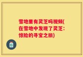 雪地里有灵芝吗视频(在雪地中发现了灵芝：惊险的寻宝之旅)