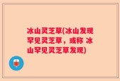 冰山灵芝草(冰山发现罕见灵芝草，或称 冰山罕见灵芝草发现)