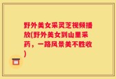 野外美女采灵芝视频播放(野外美女到山里采药，一路风景美不胜收)