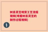 树舌灵芝观赏工艺流程视频(观看树舌灵芝的制作过程视频)