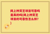 网上种灵芝项目可靠吗是真的吗(网上种灵芝项目的可靠性怎么样？)