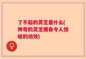 了不起的灵芝是什么(神奇的灵芝拥有令人惊叹的功效)