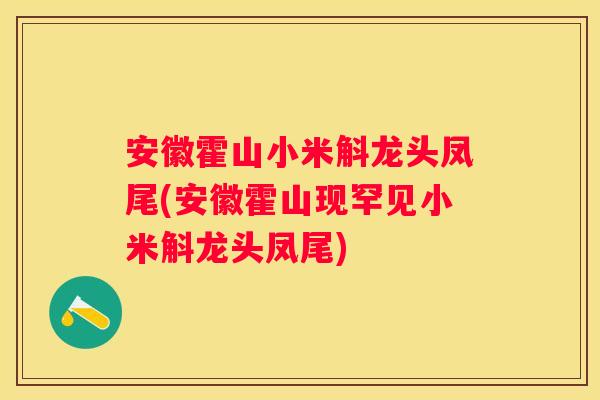 安徽霍山小米斛龙头凤尾(安徽霍山现罕见小米斛龙头凤尾)