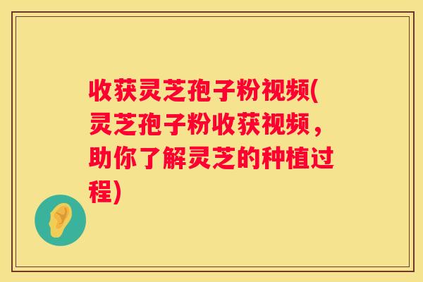 收获灵芝孢子粉视频(灵芝孢子粉收获视频，助你了解灵芝的种植过程)