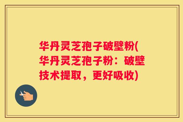 华丹灵芝孢子破壁粉(华丹灵芝孢子粉:破壁技术提取,更好吸收) 华丹灵芝孢子破壁粉(华丹灵芝孢子粉:破壁技术提取,更好吸收)