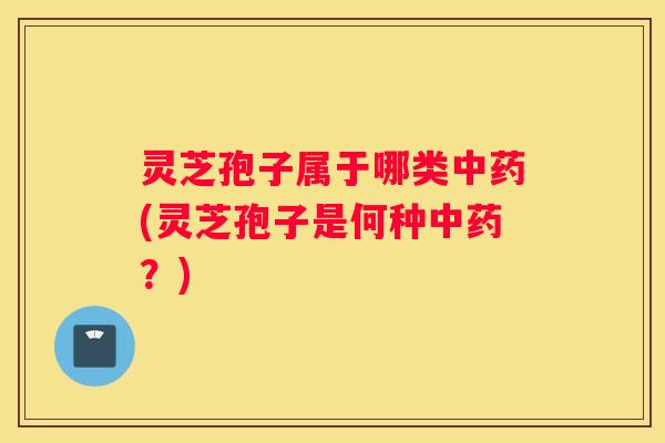 灵芝孢子属于哪类(灵芝孢子是何种？)