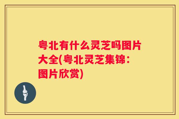 粤北有什么灵芝吗图片大全(粤北灵芝集锦：图片欣赏)