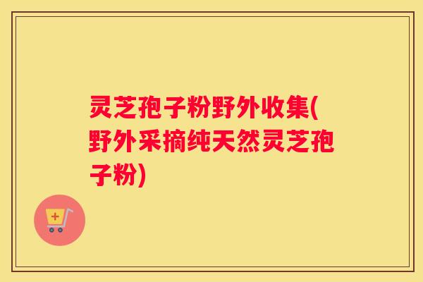 灵芝孢子粉野外收集(野外采摘纯天然灵芝孢子粉)