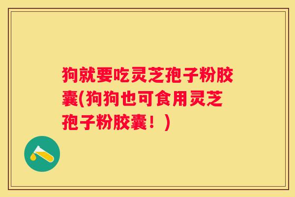 狗就要吃灵芝孢子粉胶囊(狗狗也可食用灵芝孢子粉胶囊!) 狗就要吃灵芝孢子粉胶囊(狗狗也可食用灵芝孢子粉胶囊!)