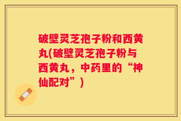 破壁灵芝孢子粉和西黄丸(破壁灵芝孢子粉与西黄丸，里的“神仙配对”)