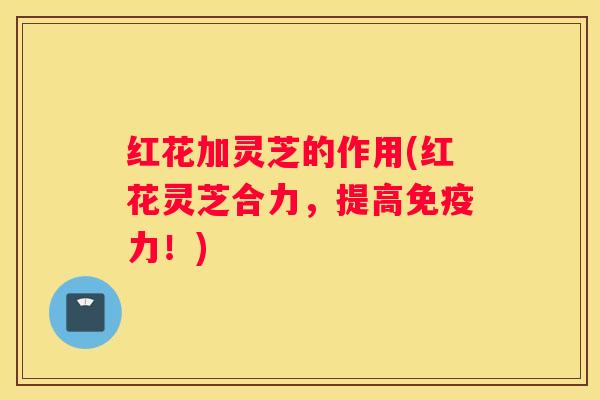红花加灵芝的作用(红花灵芝合力，提高免疫力！)