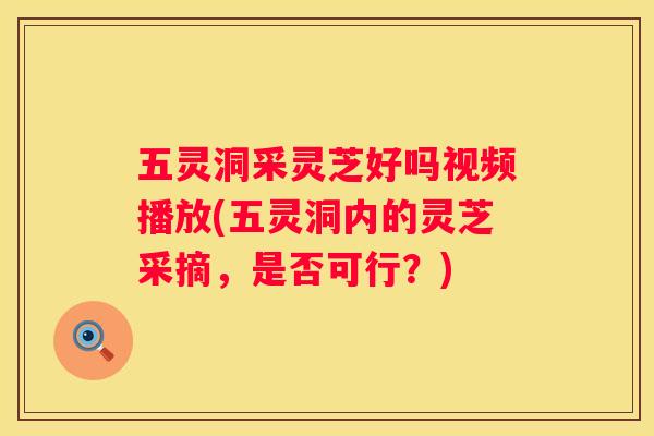 五灵洞采灵芝好吗视频播放(五灵洞内的灵芝采摘，是否可行？)
