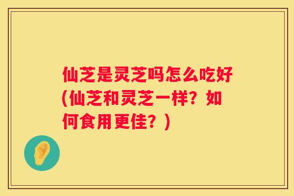 仙芝是灵芝吗怎么吃好(仙芝和灵芝一样？如何食用更佳？)