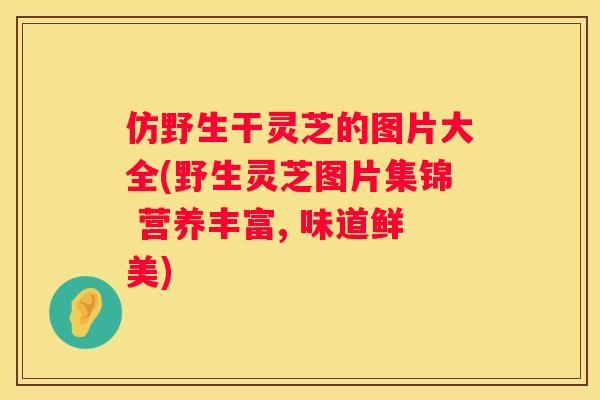 仿野生干灵芝的图片大全(野生灵芝图片集锦 营养丰富, 味道鲜美)