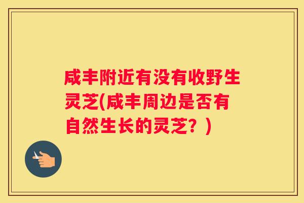 咸丰附近有没有收野生灵芝(咸丰周边是否有自然生长的灵芝？)