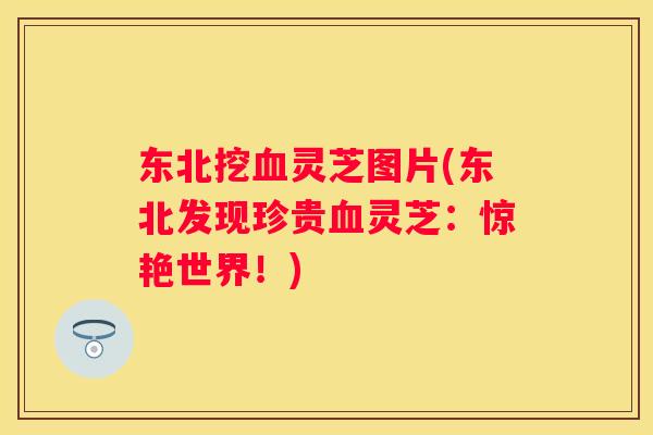 东北挖灵芝图片(东北发现珍贵灵芝：惊艳世界！)