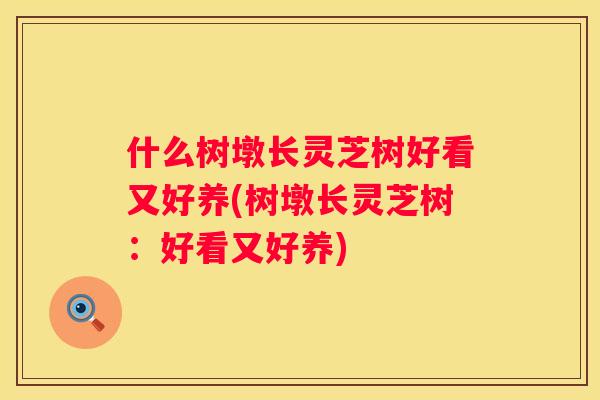 什么树墩长灵芝树好看又好养(树墩长灵芝树：好看又好养)