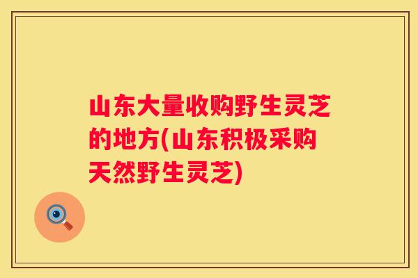 山东大量收购野生灵芝的地方(山东积极采购天然野生灵芝)