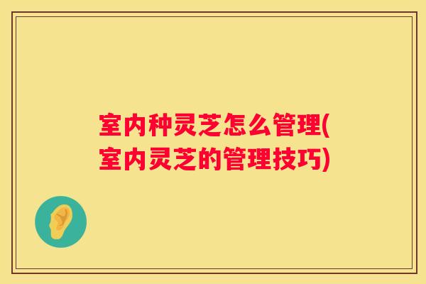 室内种灵芝怎么管理(室内灵芝的管理技巧)