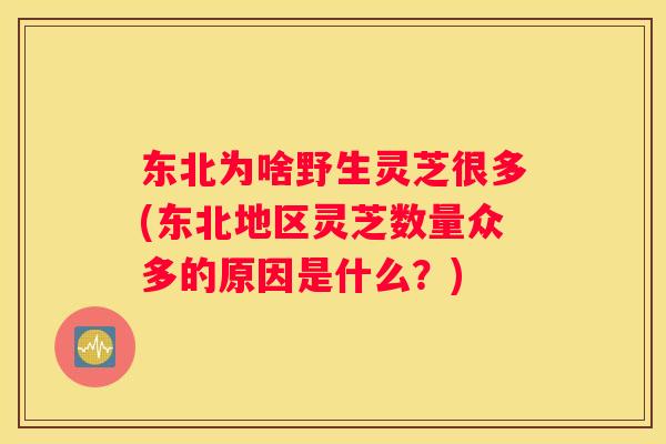 东北为啥野生灵芝很多(东北地区灵芝数量众多的原因是什么？)